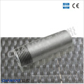 A312 (TP304, TP316, TP321) Stainless Steel Ecc. Pipe Threaded Nipple